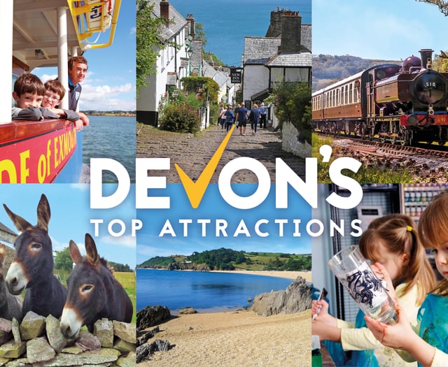 Find 35 Top Things to do in Devon with the kids this Summer!