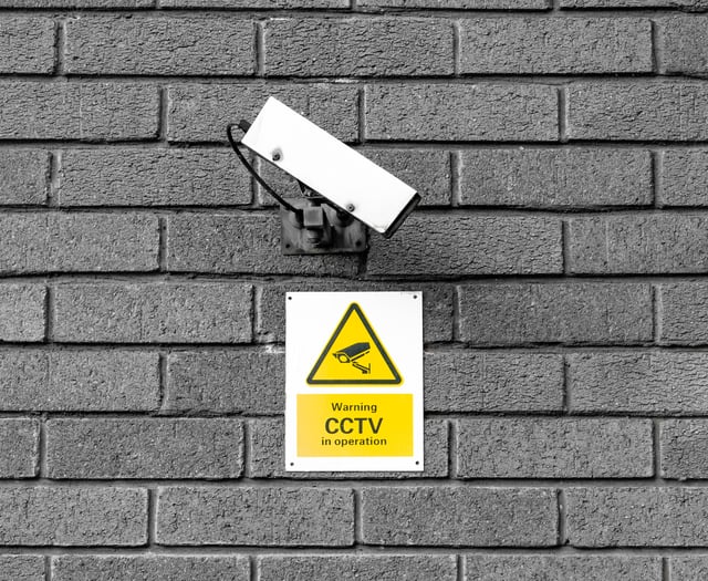 CCTV footage helped police catch vandals