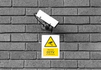 CCTV footage helped police catch vandals