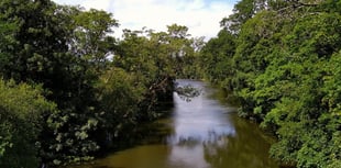 Free Tamar Valley walk for autumn