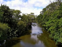 Free Tamar Valley walk for autumn