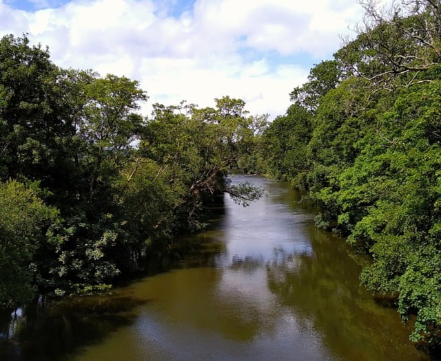 Free Tamar Valley walk for autumn