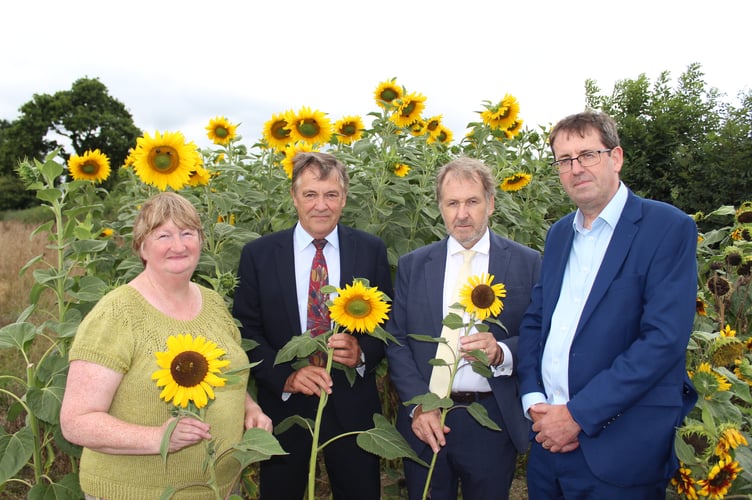 On Ukrainian Independence Day WDBC Mayor Caroline Mott, Ward Member for Tamarside Cllr Chris Edmonds , Leader Cllr Neil Jory and Chief Executive Andy Bates gather at Strawberry Field Lifton