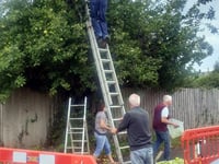 Foodbank given windfall apples