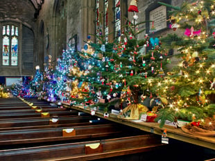 Turkey and tinsel coach tours to Tavistock
