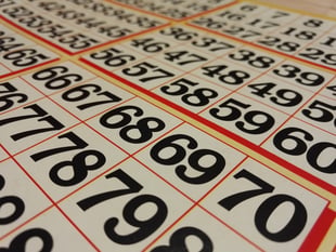 Bingo at Sampford Courtenay Village Hall
