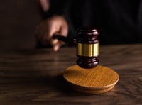 Man sentenced for assaulting four police officers