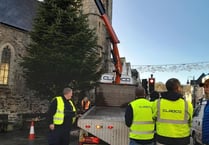 Rotary Club saves Okehampton’s Christmas Tree of Light