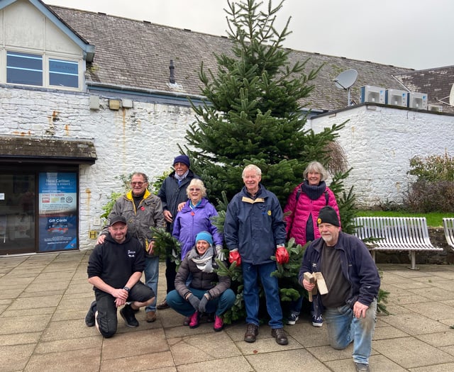 Christmas celebrations start as tree in Red Lion Yard erected