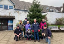 Christmas celebrations start as tree in Red Lion Yard erected