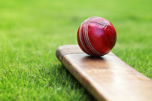 Hatherleigh cricketers go down by just one wicket