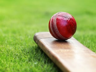 Hatherleigh cricketers go down by just one wicket