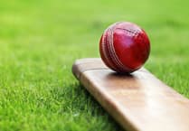 Hatherleigh cricketers go down by just one wicket