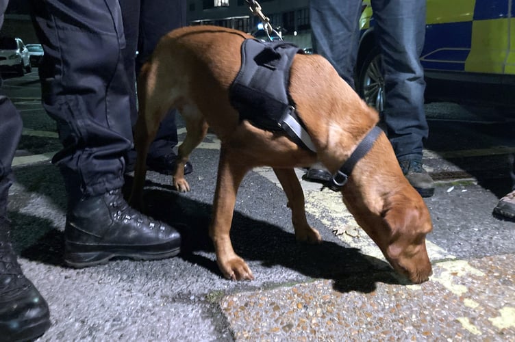 Police dog Skye in action during Operation Scorpion.