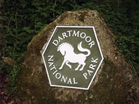 Dartmoor's Ranger Ralph Club for children gets creative to help birds