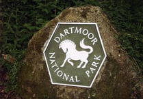 Dartmoor's Ranger Ralph Club for children gets creative to help birds