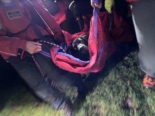 Injured dog rescued after falling 50ft at Burrator Reservoir dam 