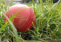 Concerns raised over littering near Okehampton cricket field