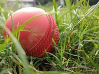 Concerns raised over littering near Okehampton cricket field