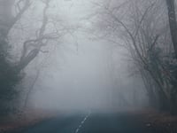 Freezing fog Yellow Warning for drivers this morning