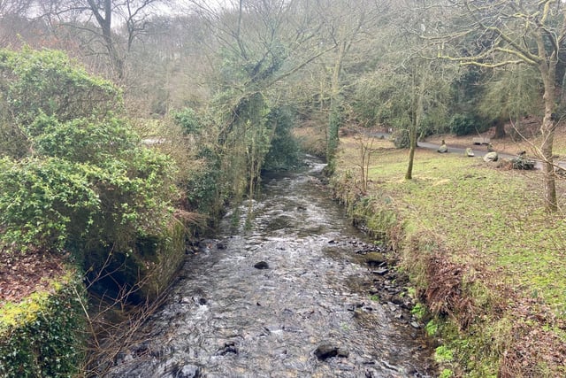 Authorities' response to diesel spill 'disappointing,' says parkkeeper