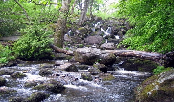 Dartmoor waterfall earns place in top UK waterfall walks list