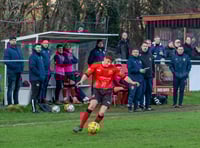 Tavistock seal the double over lowly Cinderford