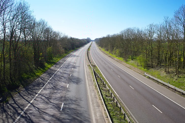 main road tree lined