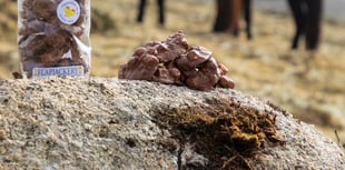 Flapjackery launches 'pony plops' in honour of the Dartmoor Pony