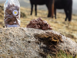 Flapjackery launches 'pony plops' in honour of the Dartmoor Pony