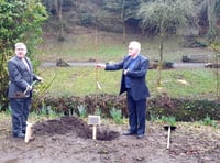 Okehampton mayor plants new cherry trees in Simmons Park