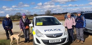 Tavistock Police raise awareness of sheep worrying