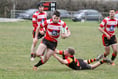 Tavistock Rugby win league champions title