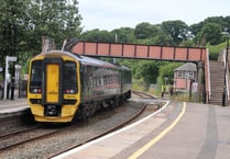 Animals on Dartmoor Line halts train service
