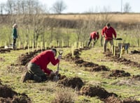 Devon County Council greenlights landmark community forest plan