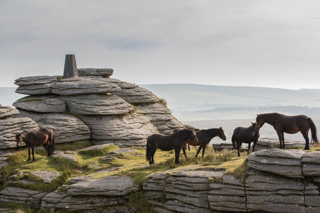 New parking charges hit Dartmoor