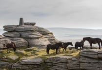 New parking charges hit Dartmoor