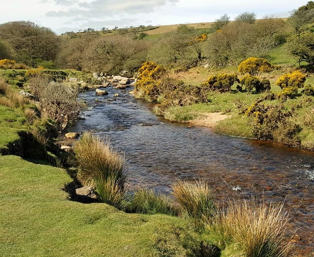 Council urges wild water safety as holiday season starts