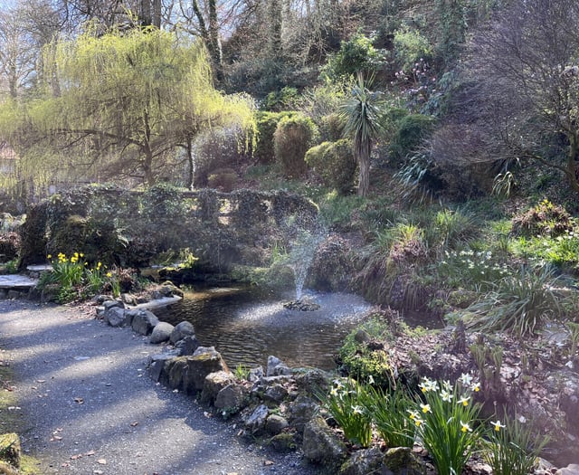 Rising concern as town experiences new spate of anti-social behaviour