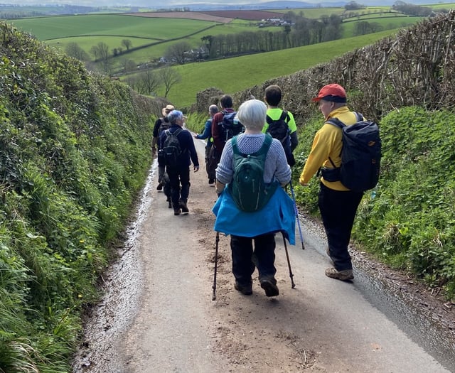 OKEHAMPTON RAMBLERS: Across Bow parish