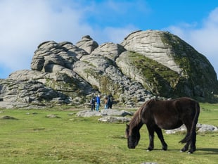 MPs secure inquiry into management of Dartmoor