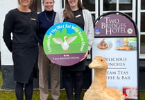 A family-friendly “Not So” Wild Goose Chase at the Two Bridges Hotel