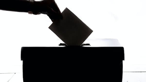 May 4 elections: West Devon borough candidates in full 