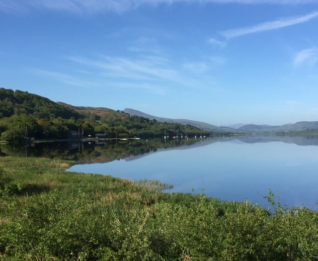 Be a nature spotter for Trust's biggest wildlife survey