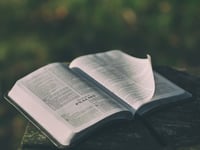 Sampford Courtenay to hold Prayer Book Rebellion meeting
