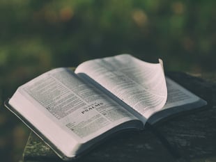 REFLECTIONS: The big question