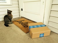 Citizens Advice: Beware of parcel scams