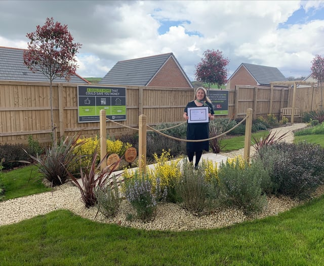 Okehampton housing development presented with RSPB award