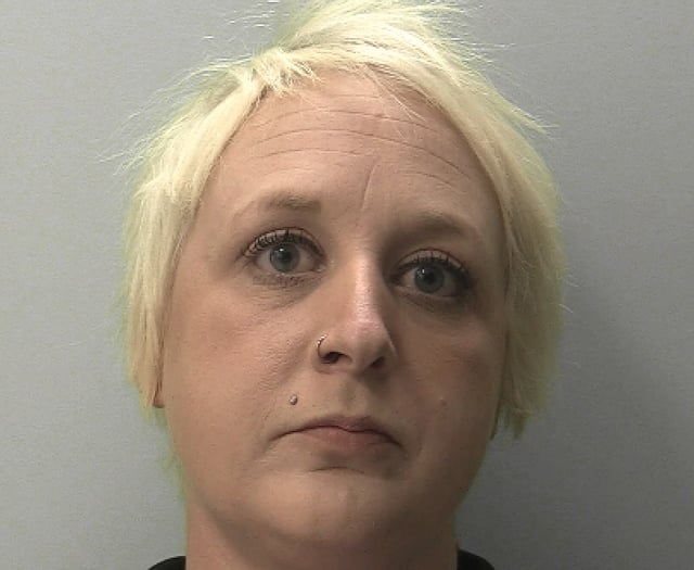 Woman jailed for starting fires in Bradninch and Sandford nr Crediton