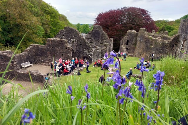 Okehampton Castle's Bluebell Sunday a success